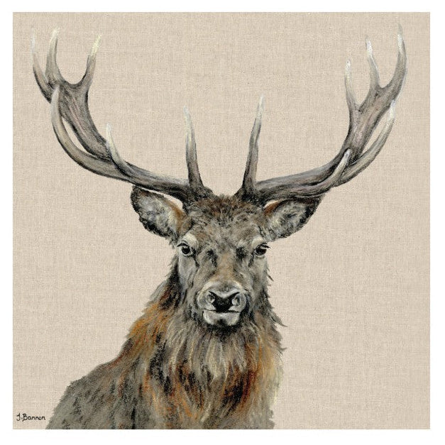 Percival 60x60cm Canvas