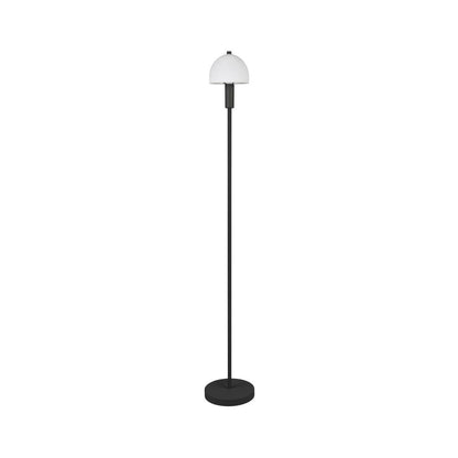 Glenn Matt Black Floor Lamp