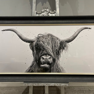 Highland Cow 100x50 Framed Wall Art