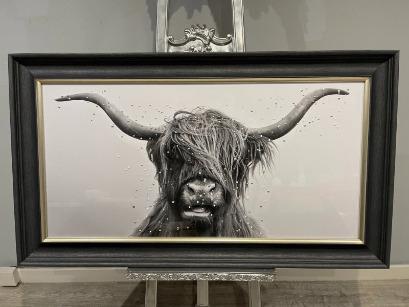 Highland Cow 100x50 Framed Wall Art