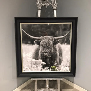 Highland Cow Canvas