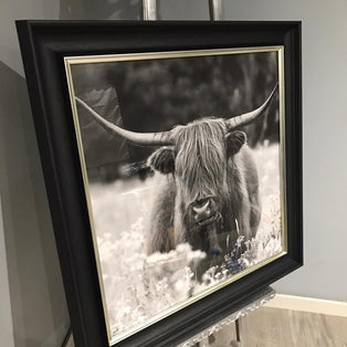 Highland Cow Canvas
