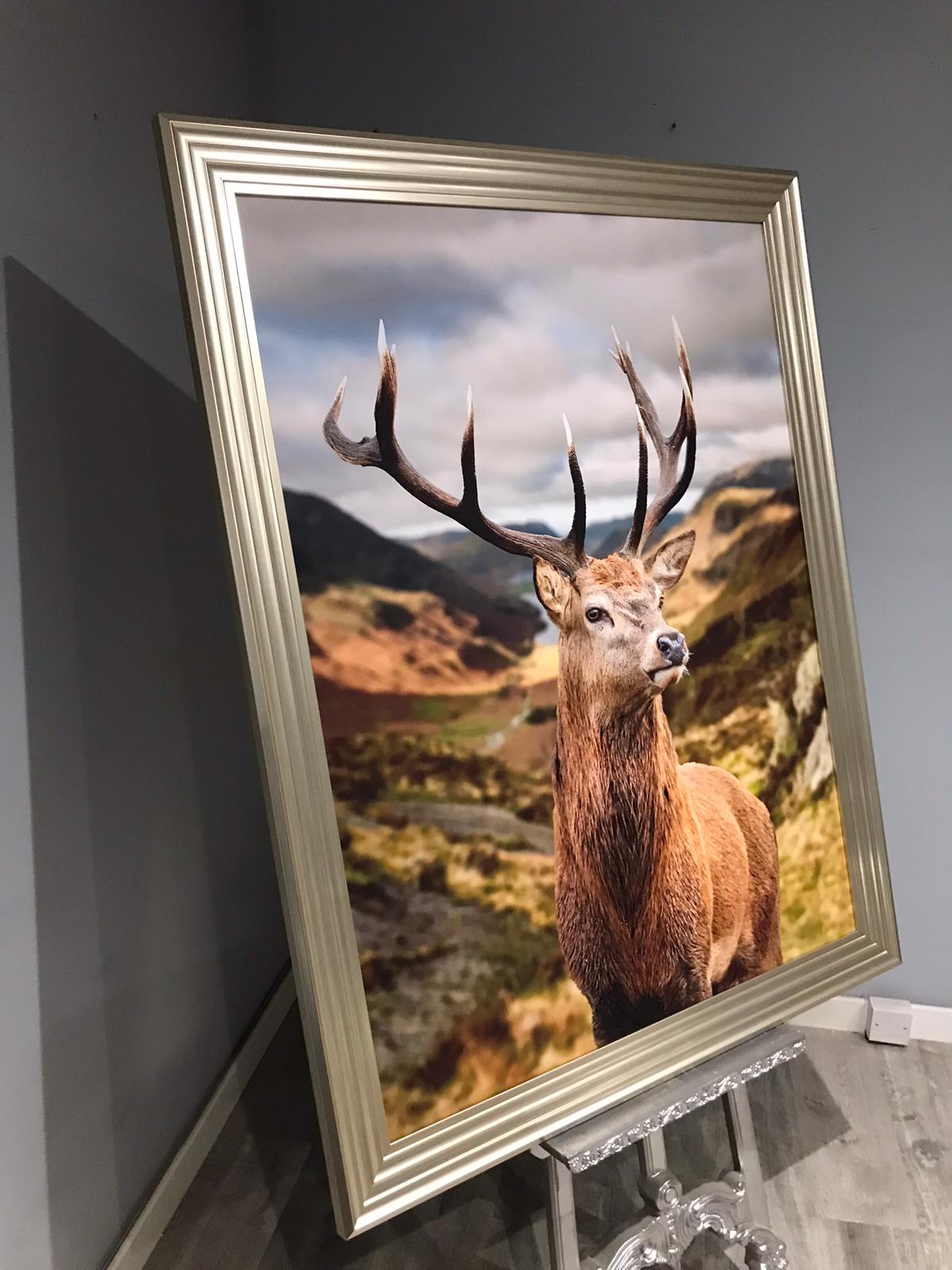 Stag Canvas
