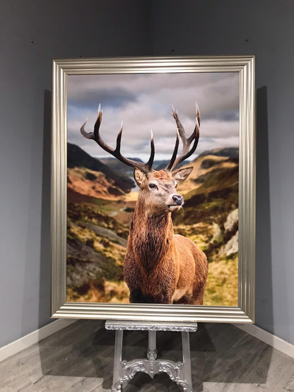 Stag Canvas