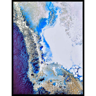 Reef Encounter Framed Canvas
