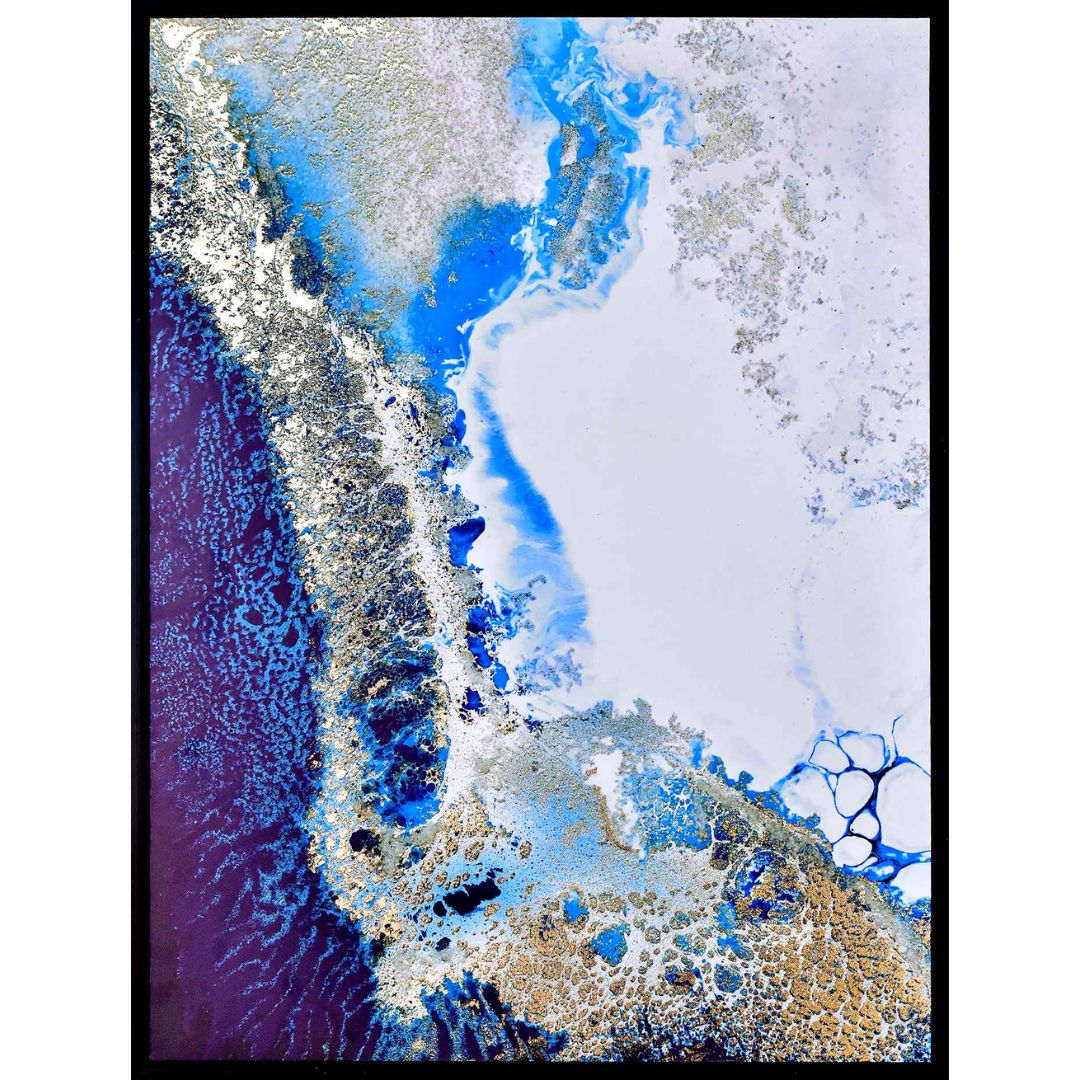 Reef Encounter Framed Canvas