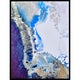 Reef Encounter Framed Canvas