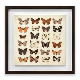 Butterfly Collection Framed Plaque Wall Art 40x40