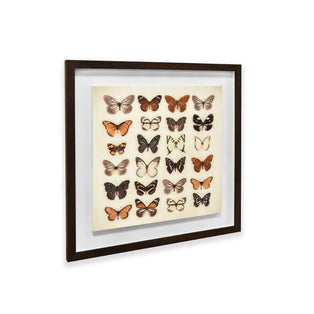 Butterfly Collection Framed Plaque Wall Art 40x40