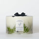 French Connection 4 Wick Scented Candle Vetivert, Eucalyptus & Sea Salt