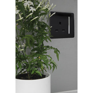 Trendi Switch 1 Gang 13 amp Plug Light Switch in Screwless Piano Black
