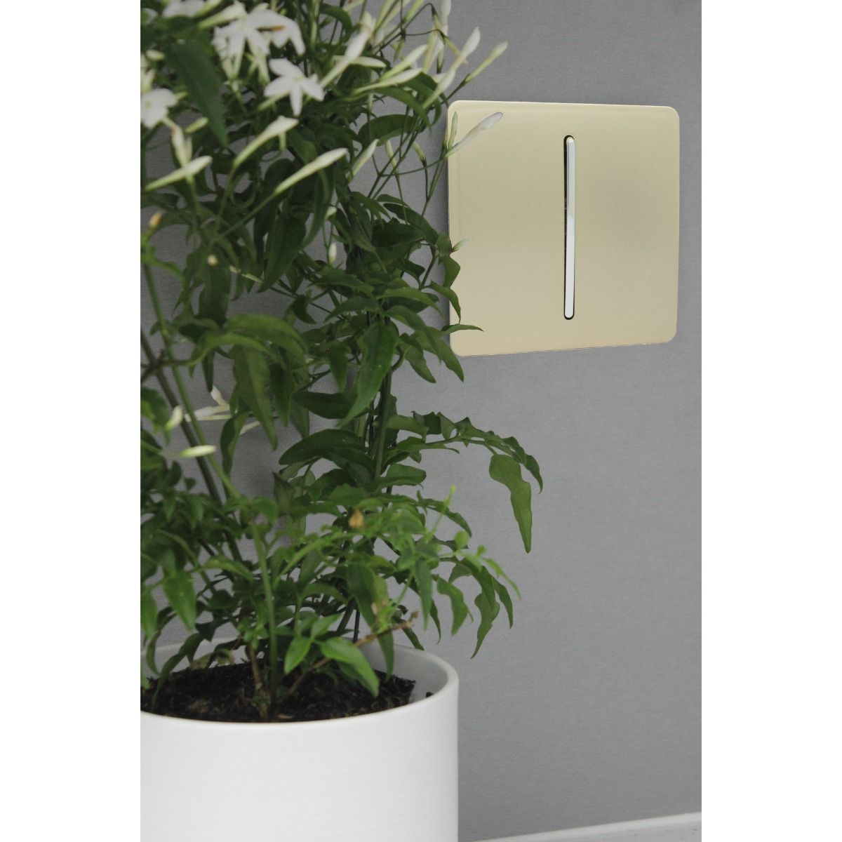 Trendi Switch 1 Gang 2 Way 10 Amp Rocker Light Switch Screwless Champagne Gold