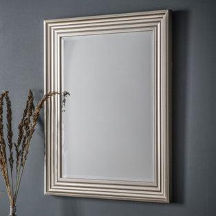 Haylen 64x79cm Silver Mirror