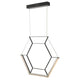 Hexagon Black Geometric LED Pendant Ceiling Light