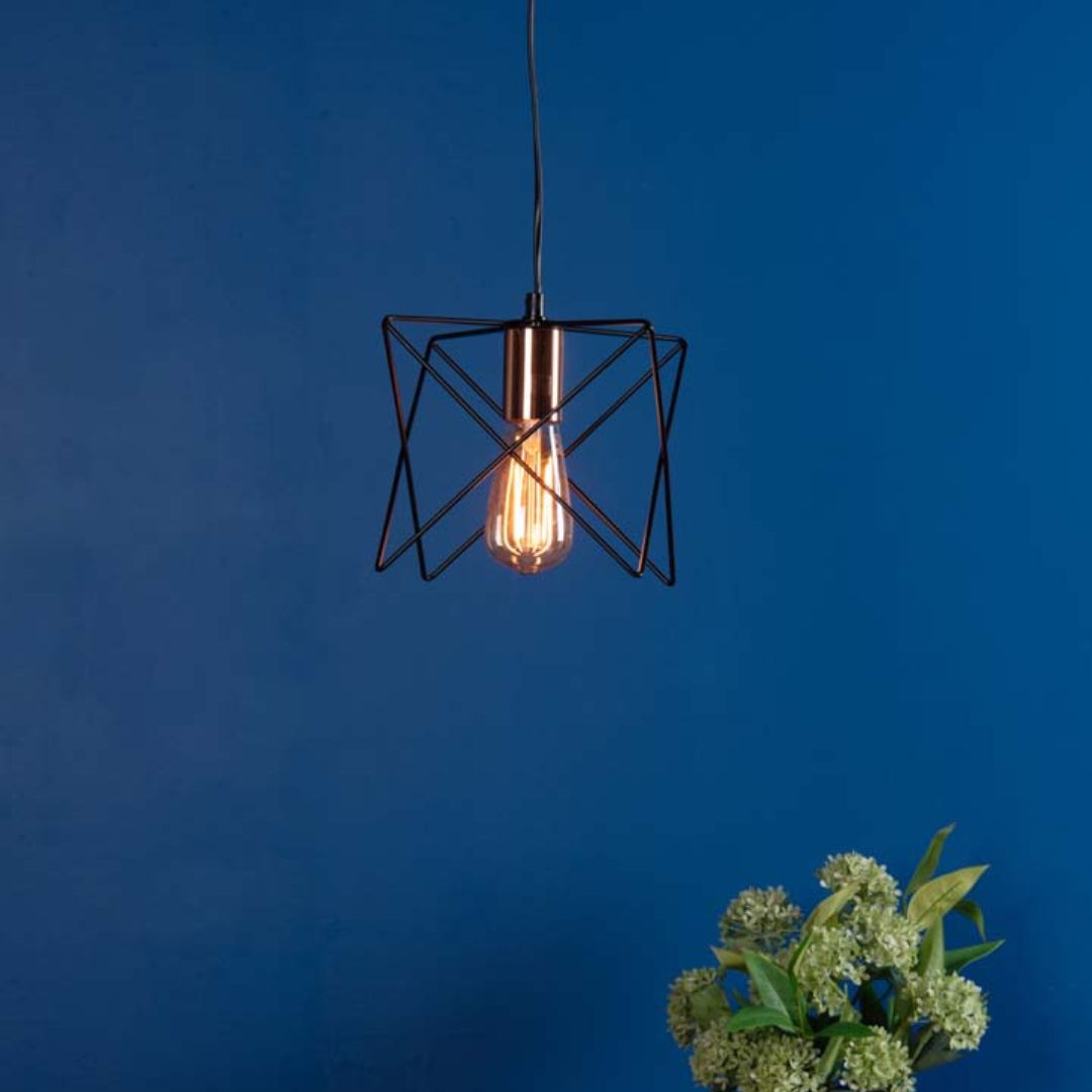 Olson 1-Light Black Ceiling Light
