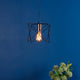 Olson 1-Light Black Ceiling Light
