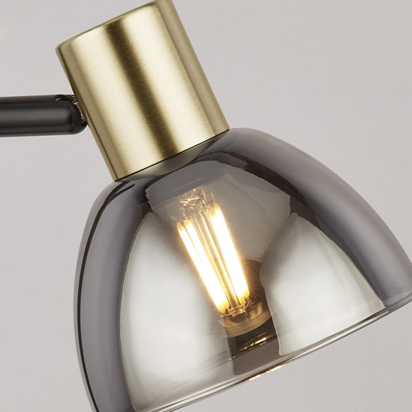 Elisa Plug In Smoked Glass Wall Light