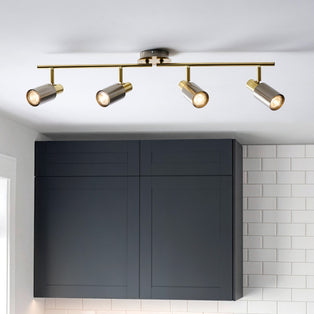Hayes Matte Nickel 4-Light Spotlight Bar