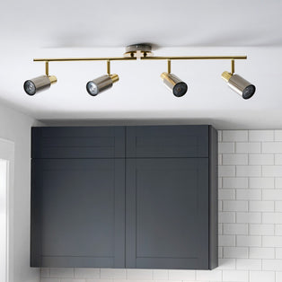 Hayes Matte Nickel 4-Light Spotlight Bar