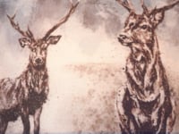 Hamish Storm Printed Shade