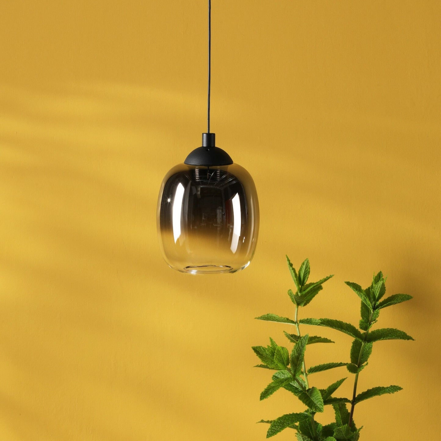 Ramona Black & Smoked Glass LED Pendant Ceiling/Wall Light