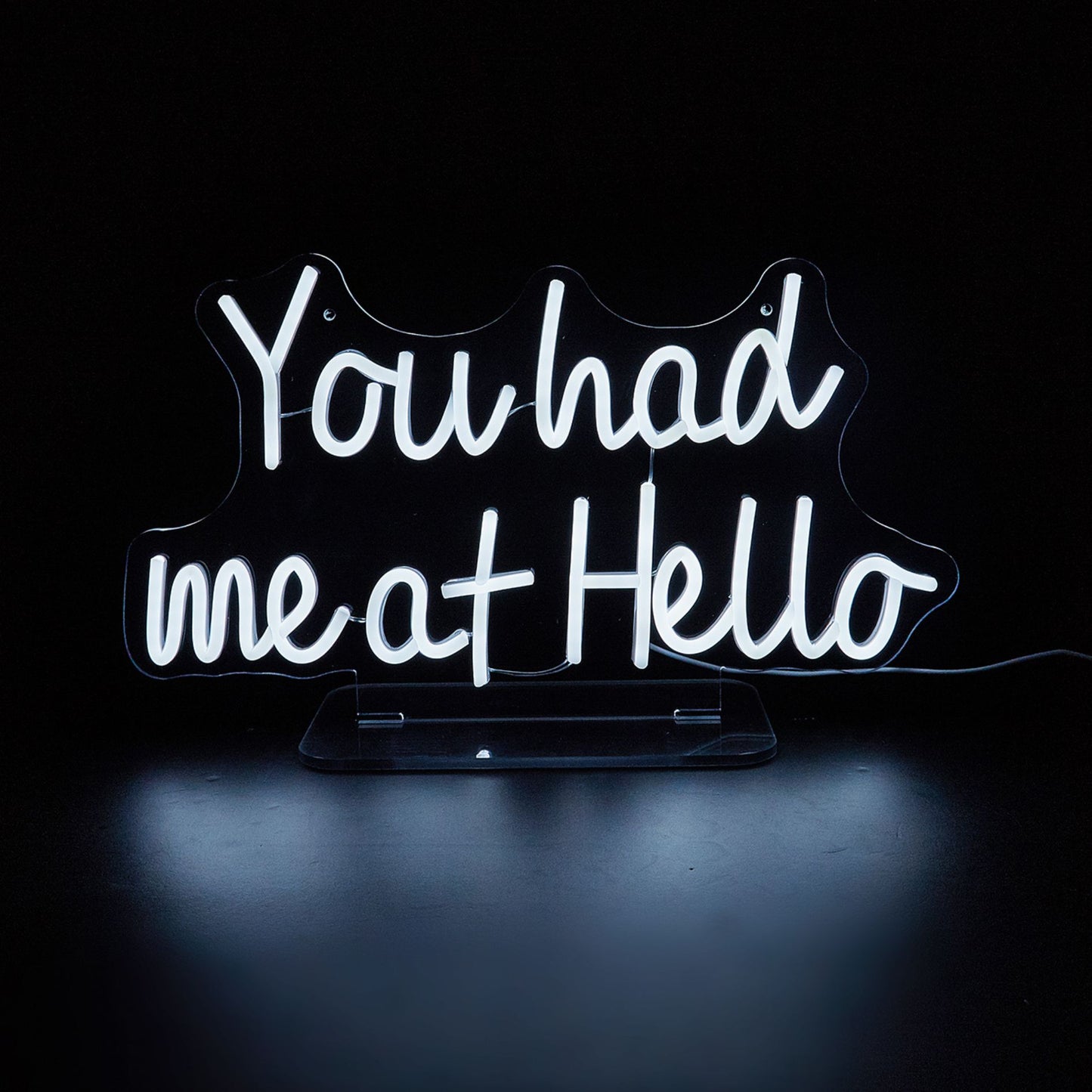 You Had Me At Hello White LED Neon Sign